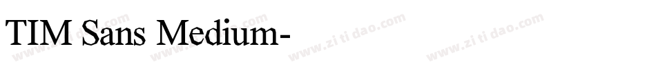 TIM Sans Medium字体转换